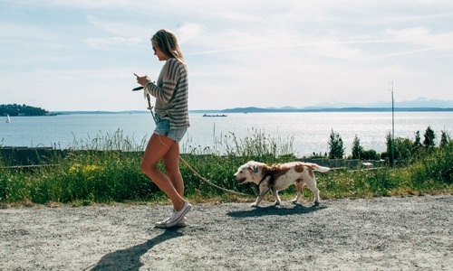 a person walking a dog